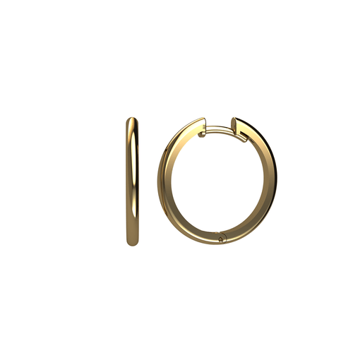 Argola Ouro Amarelo