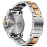 RVI00026-VER