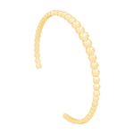 BRA00423.jpg